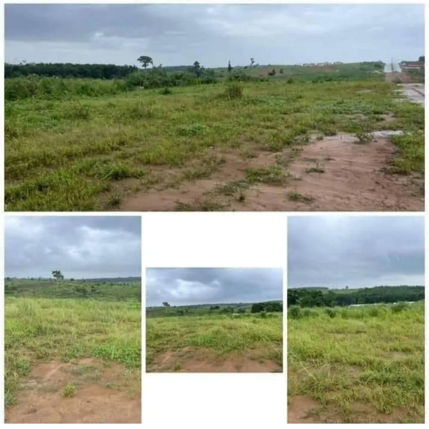 Terrains à vendre à Yamoussoukro-Zatta 